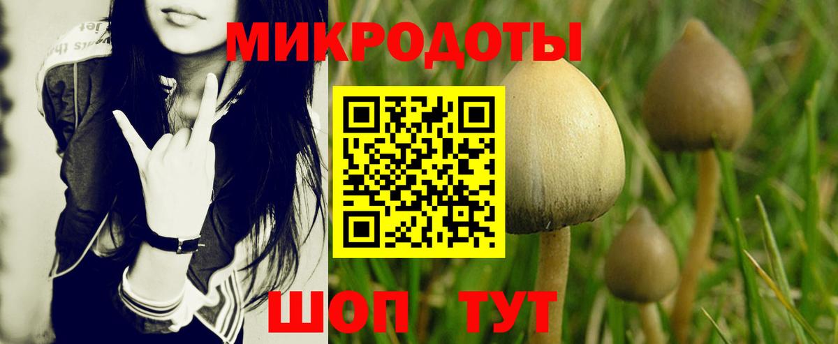 Шелехов  Галлюциногенные грибы прущие грибы  Псилоцибиновые грибы Cubensis  Вход с VPN 